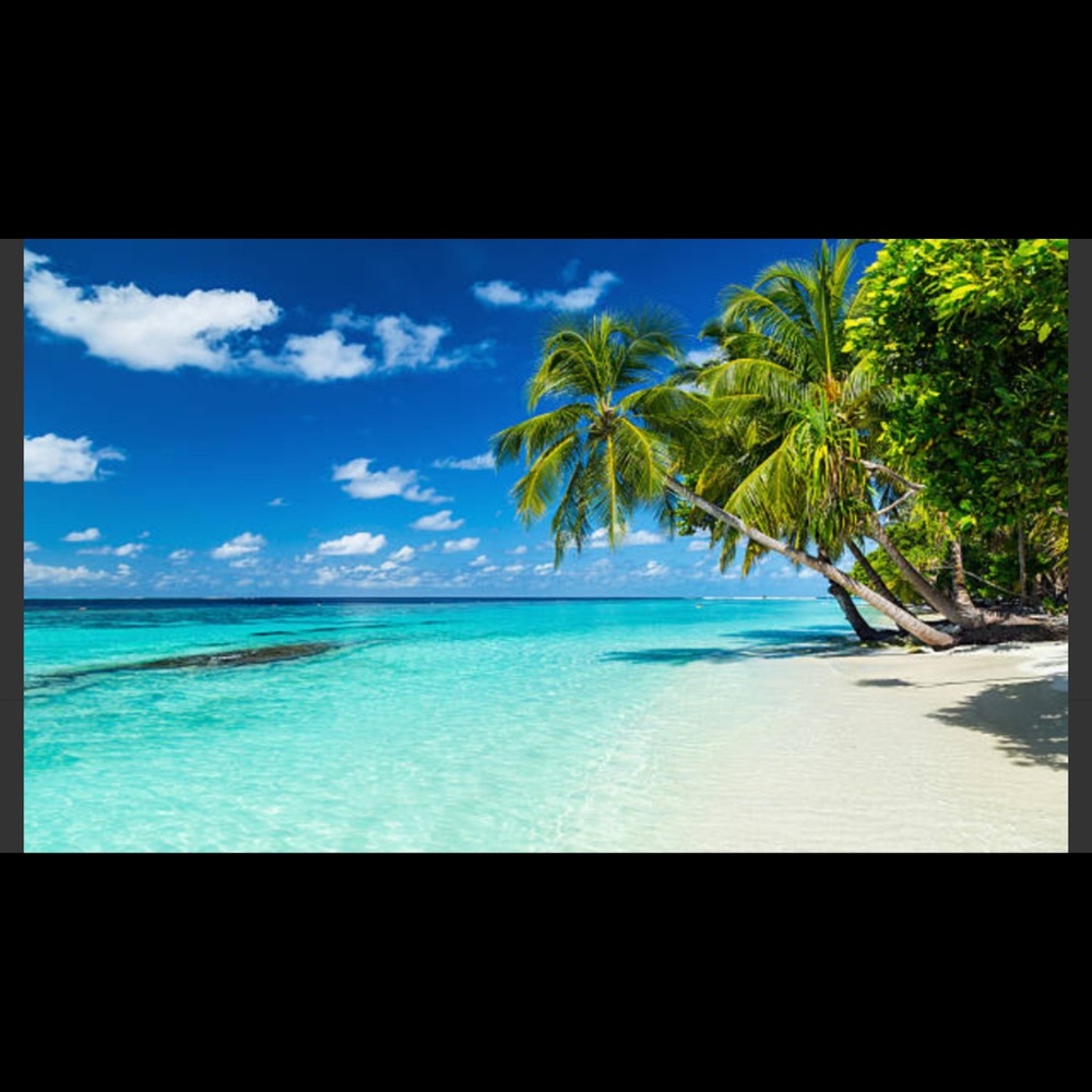 Meet your Posher, Mindy